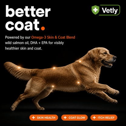 Vetly Omega 3 Chews (120 servings)