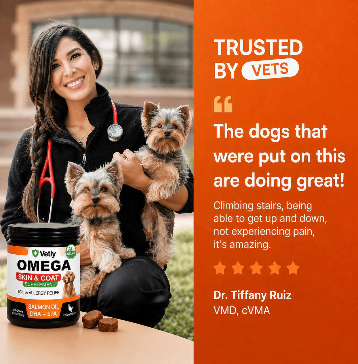 Vetly Omega 3 Chews (120 servings)
